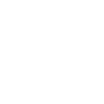 Logo in negativo ISO 9001